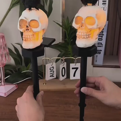 Halloween Crow Skull Solar Light™